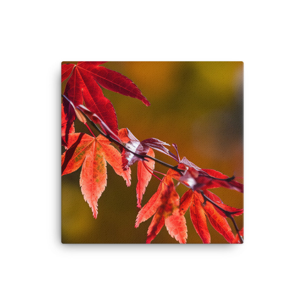 Vibrant Fall Foliage canvas - Posterfy.AI