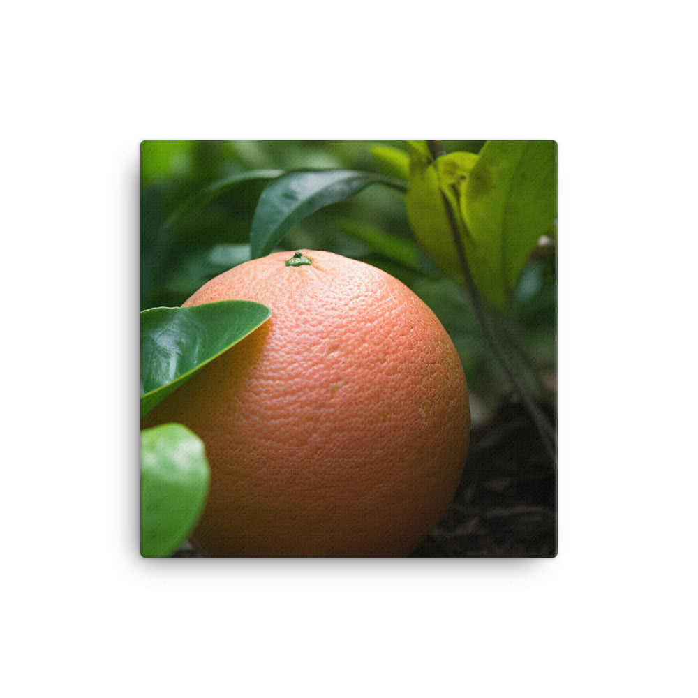 Grapefruit and Greens canvas - Posterfy.AI