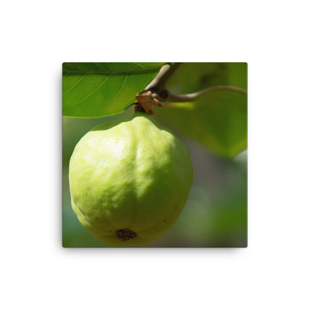 Guava on the Tree canvas - Posterfy.AI