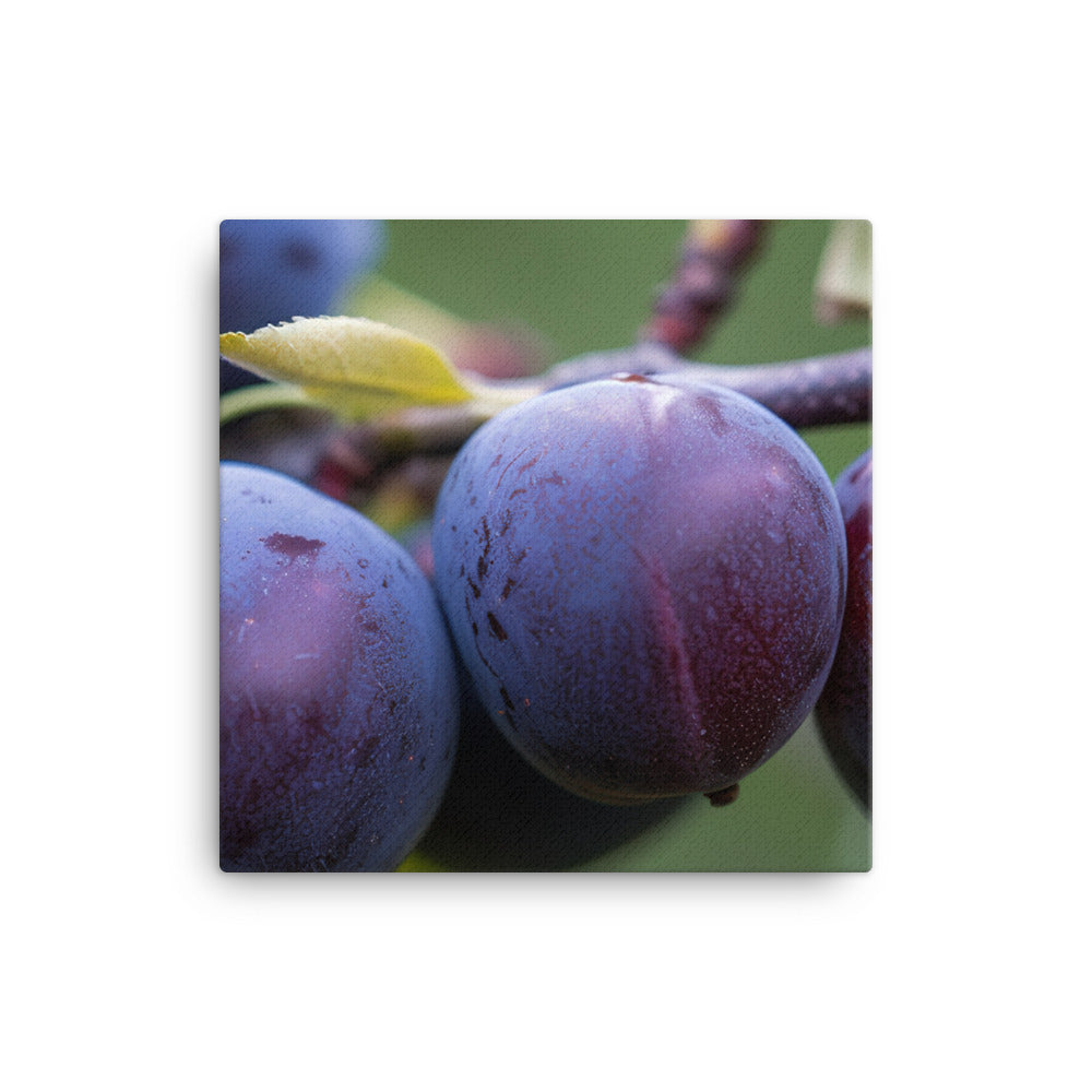 Plums on a Tree canvas - Posterfy.AI