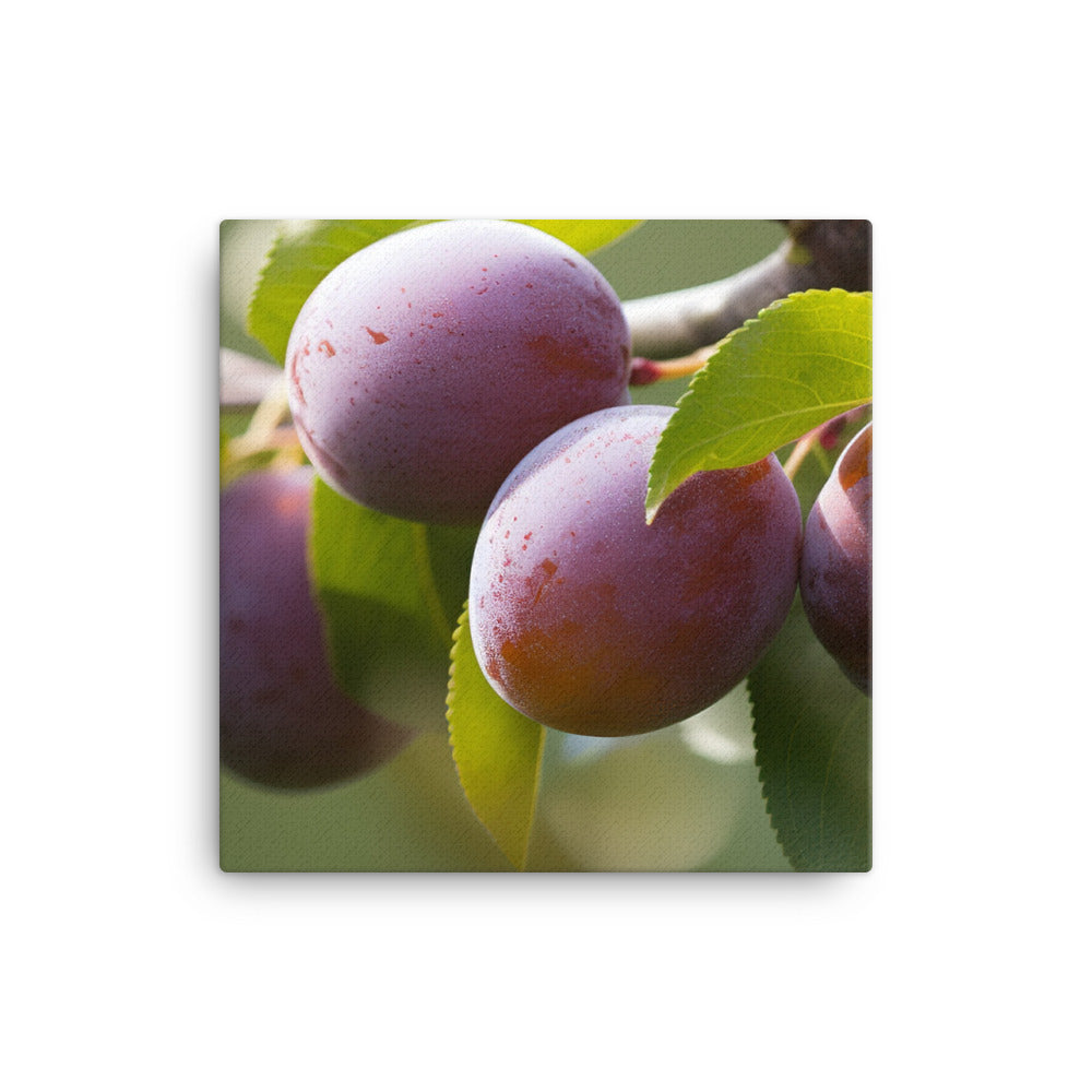 Plums on a Tree canvas - Posterfy.AI