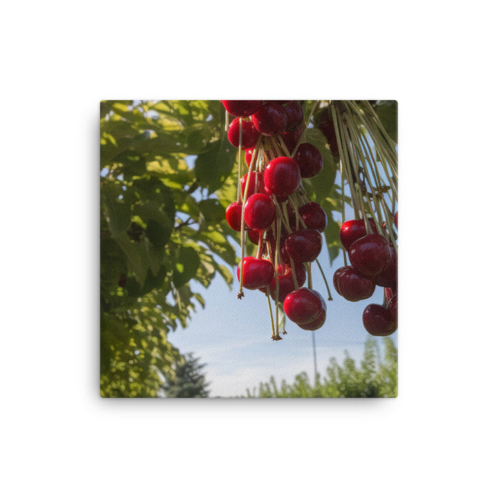 Cherry Picking Season canvas - Posterfy.AI