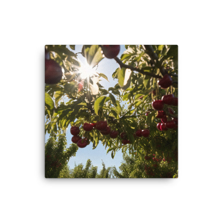 Cherry Picking Season canvas - Posterfy.AI