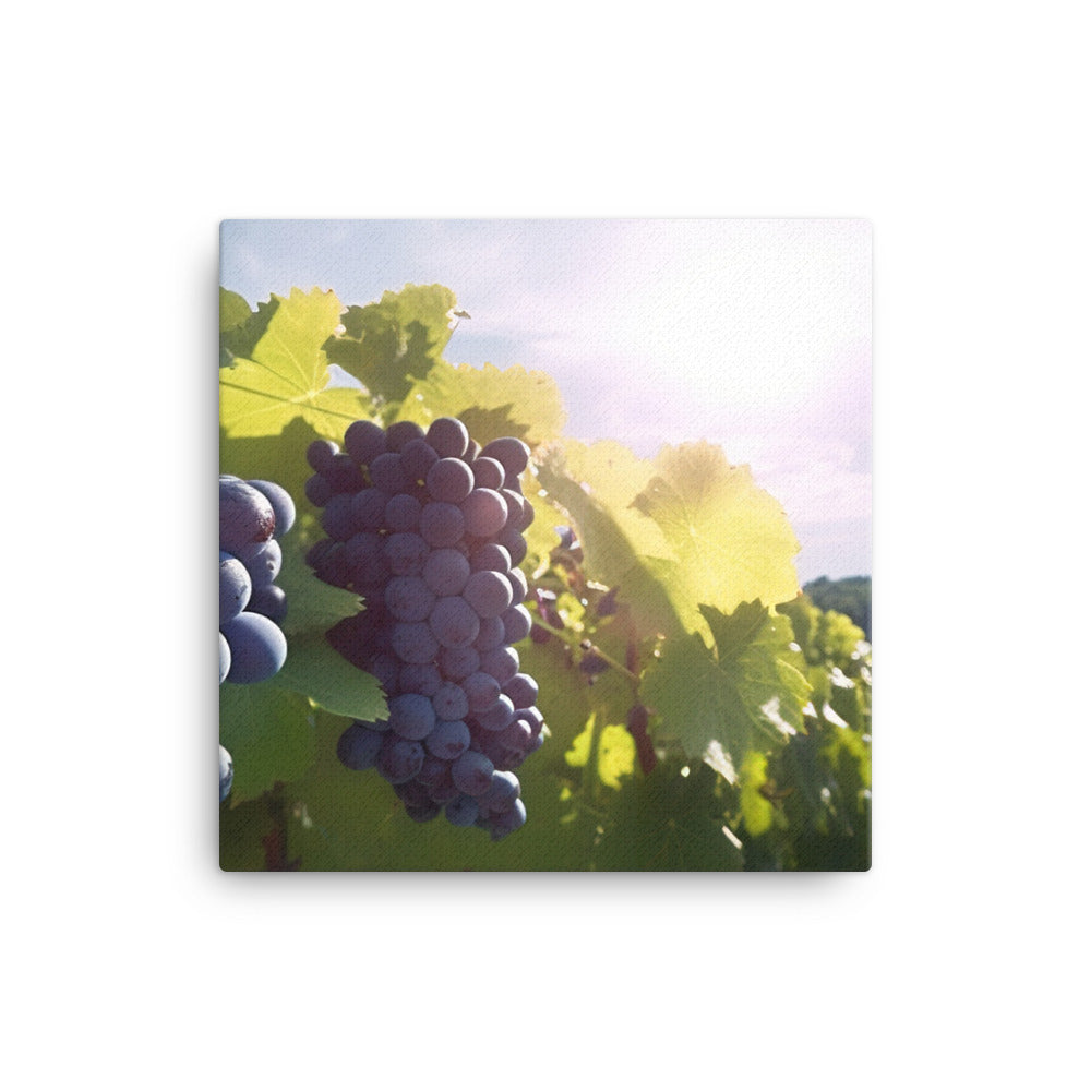 Vineyard Beauty canvas - Posterfy.AI