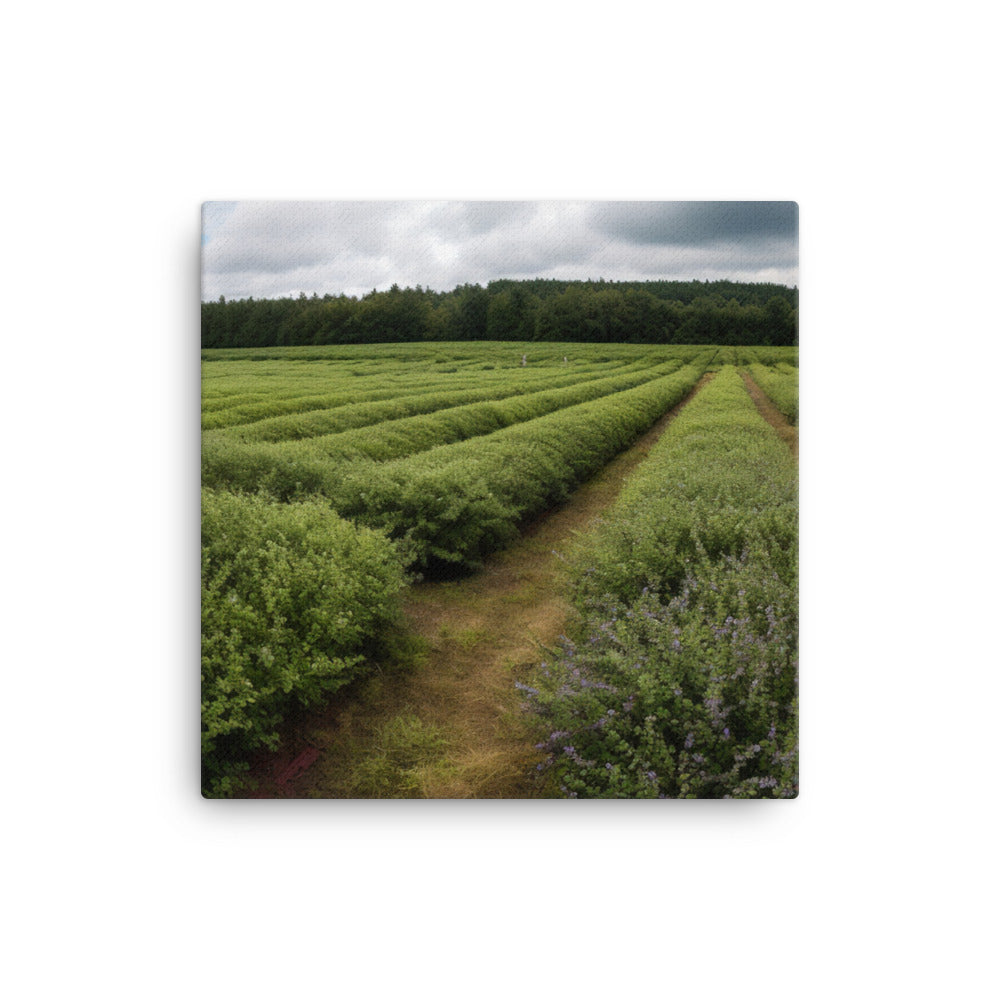 Blueberry Fields Forever canvas - Posterfy.AI