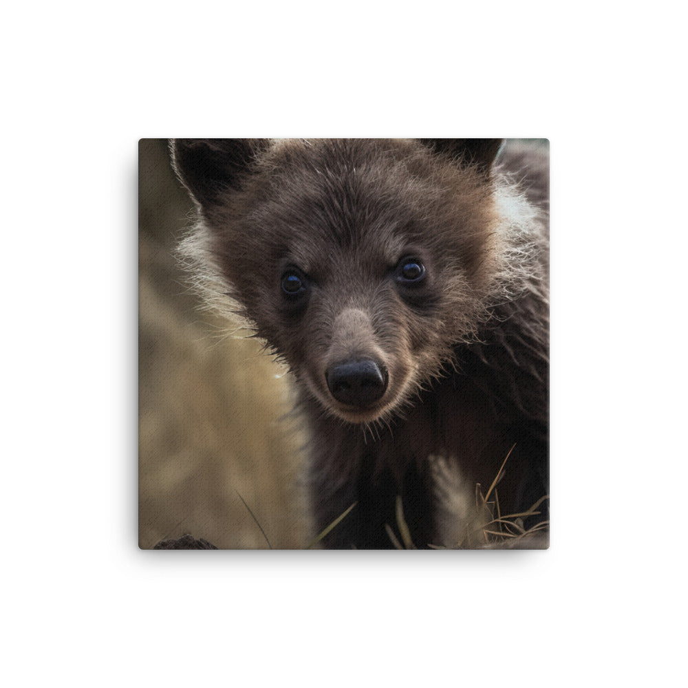 Curious Grizzly Cub Out for Adventure canvas - Posterfy.AI