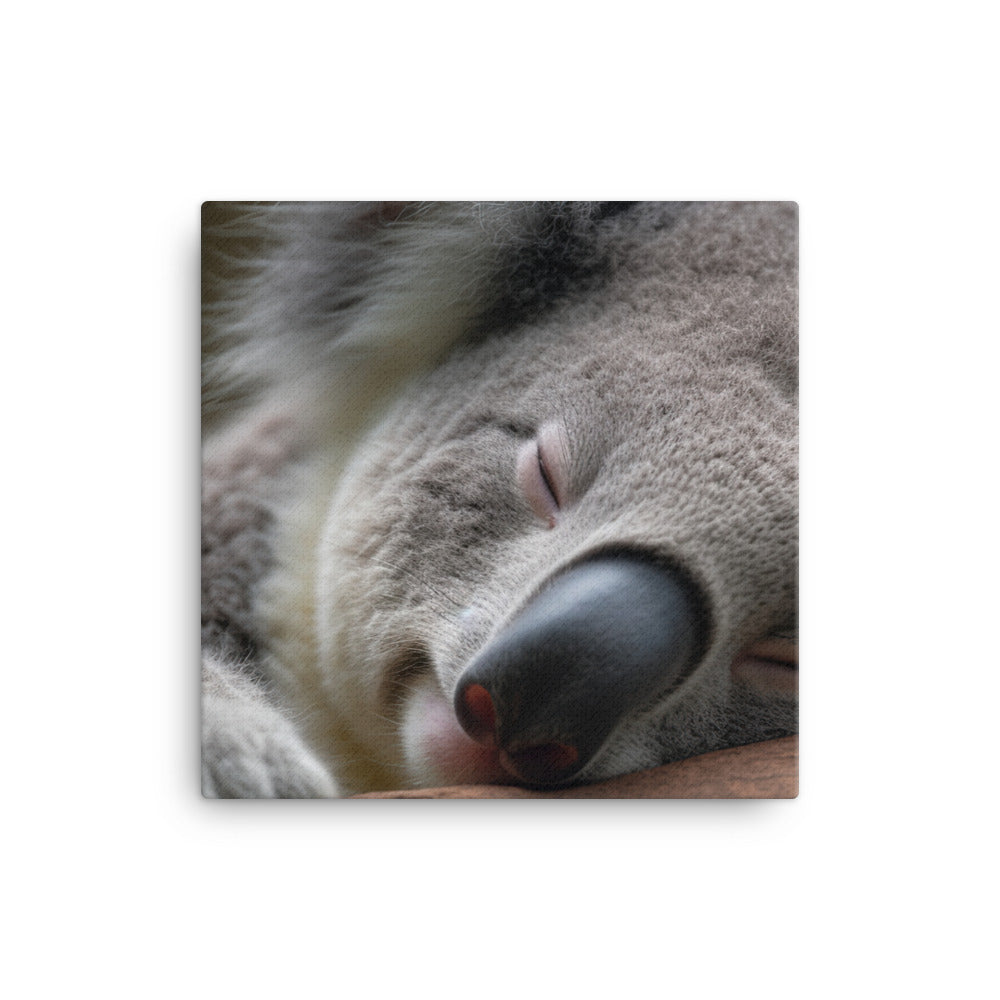 Sleepy Koala Snuggled Up in a Tree canvas - Posterfy.AI