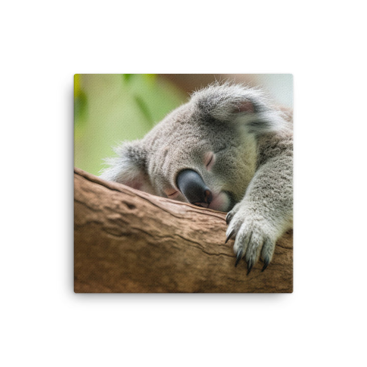 Koala Taking a Nap on a Tree Branch canvas - Posterfy.AI