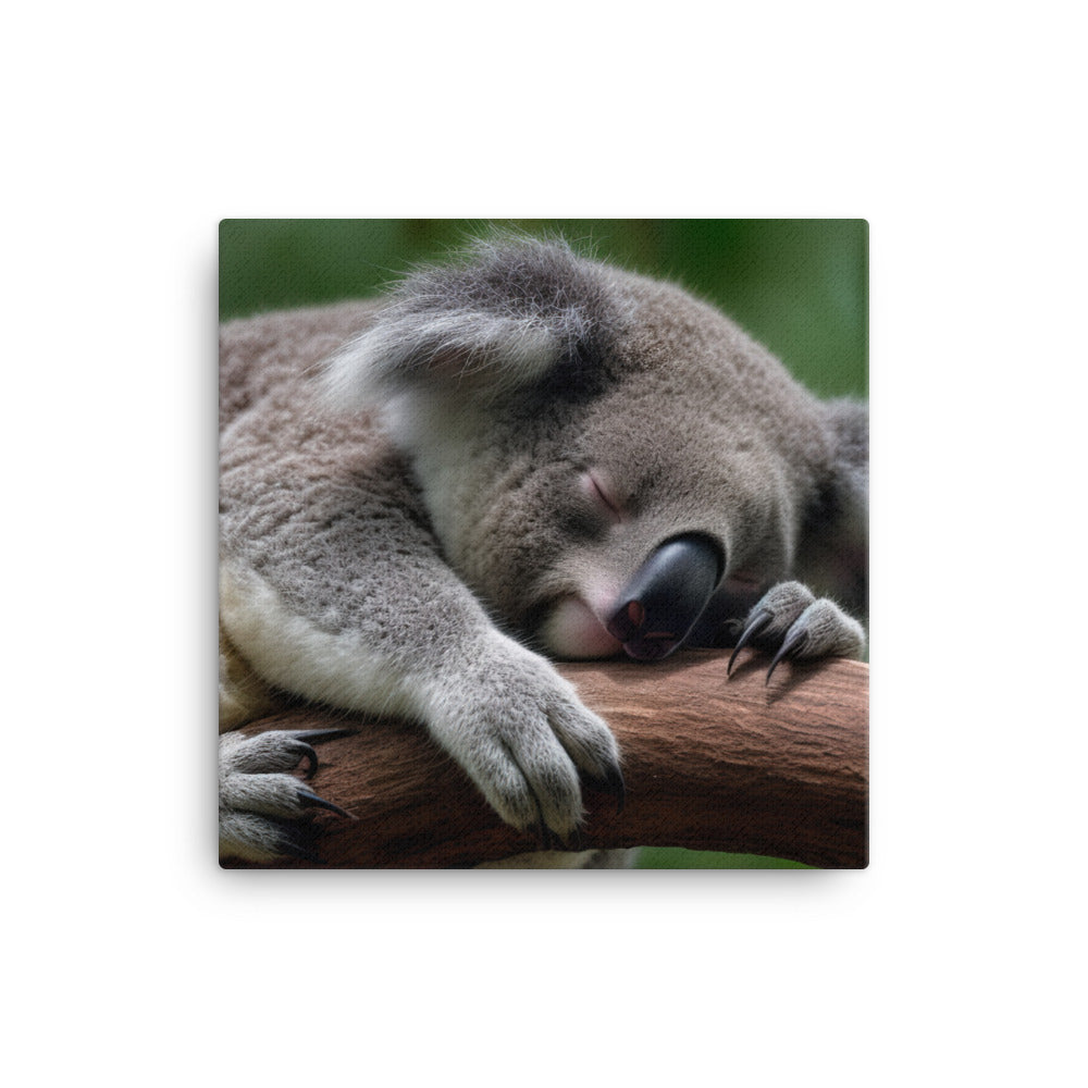 Koala Taking a Nap on a Tree Branch canvas - Posterfy.AI