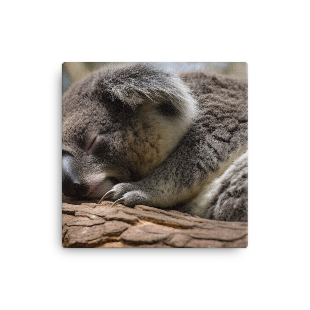 Koala Taking a Nap on a Tree Branch canvas - Posterfy.AI