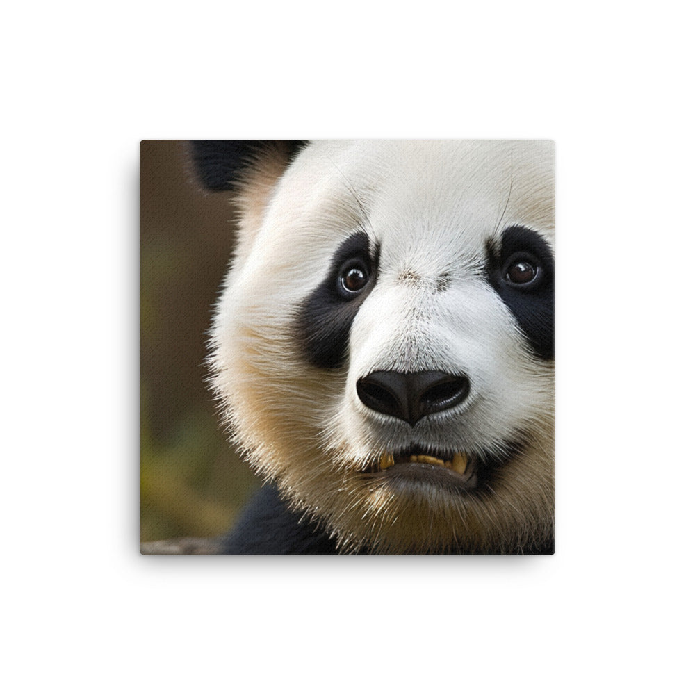 Panda Portrait canvas - Posterfy.AI