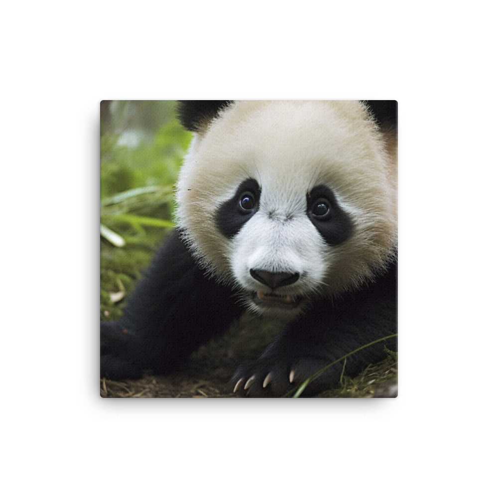 Panda Portrait canvas - Posterfy.AI