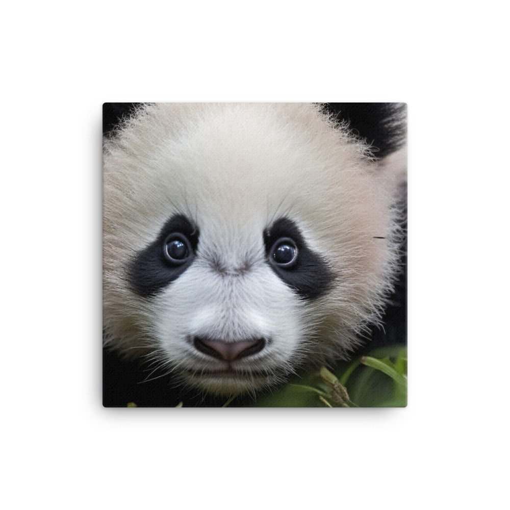 Adorable Panda Cub canvas - Posterfy.AI