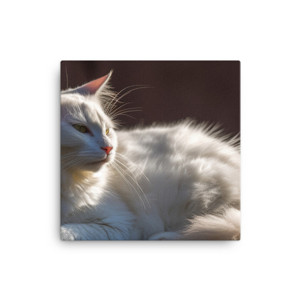 Graceful Turkish Angora relaxing in the sun canvas - Posterfy.AI