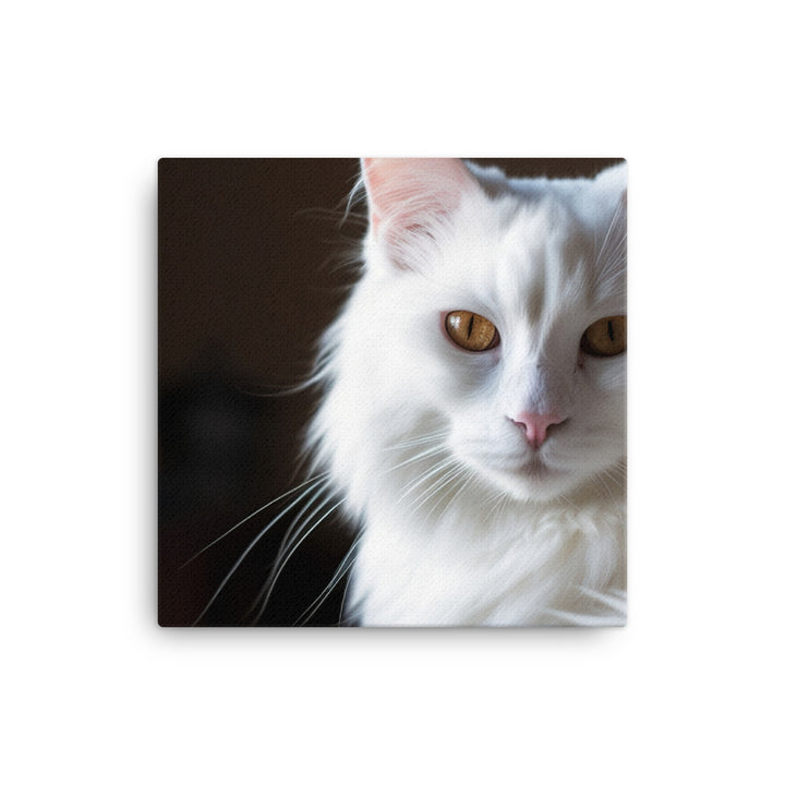 Elegant Turkish Angora posing for the camera canvas - Posterfy.AI