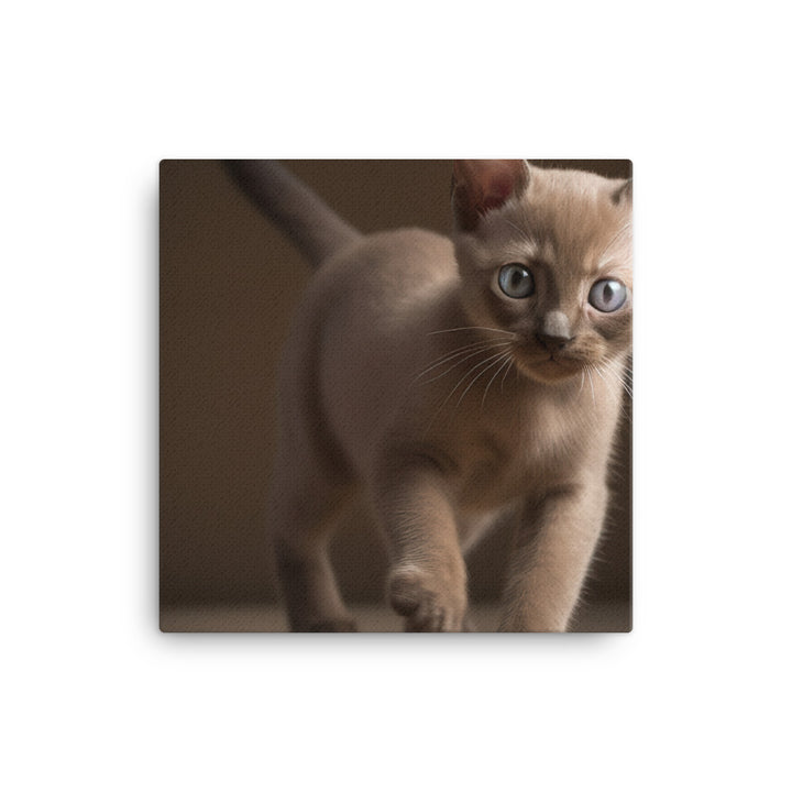 The Playful Burmese Kitten canvas - Posterfy.AI