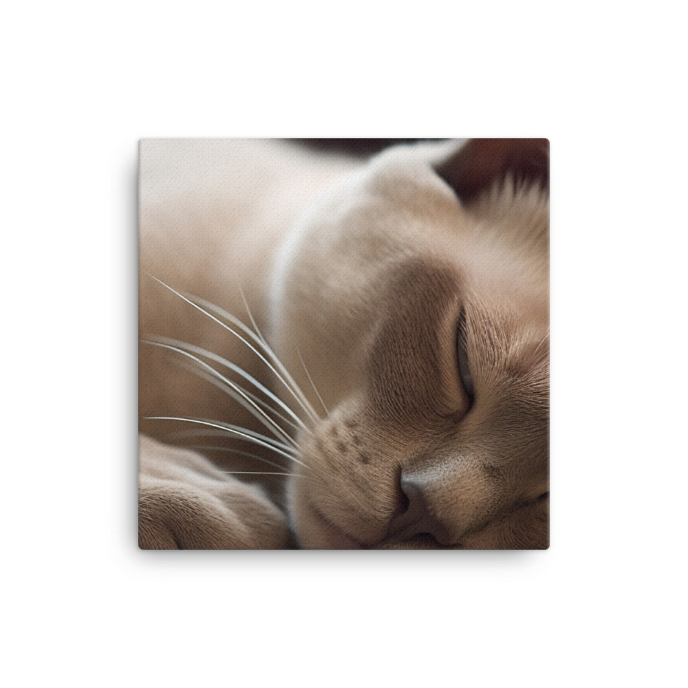 Sleeping Burmese Beauty canvas - Posterfy.AI