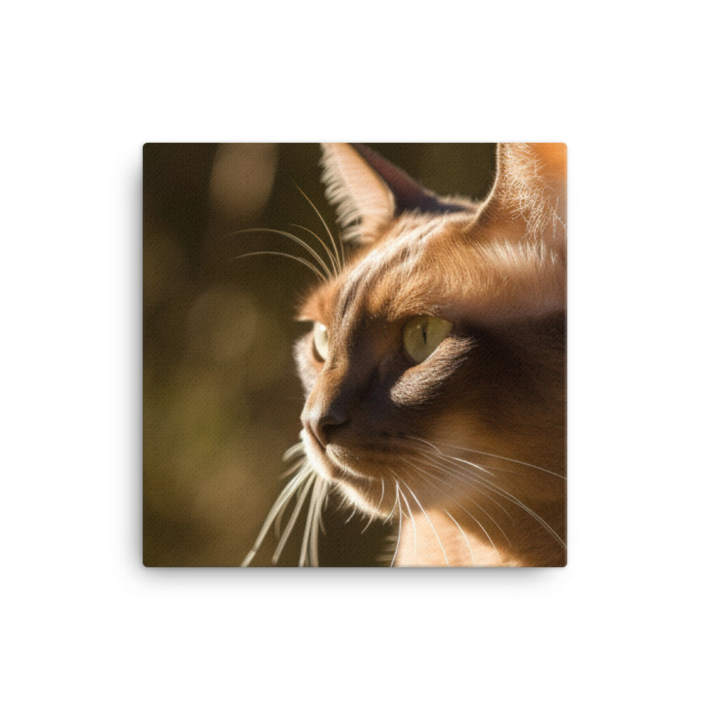 Beautiful Burmese in the Sun canvas - Posterfy.AI