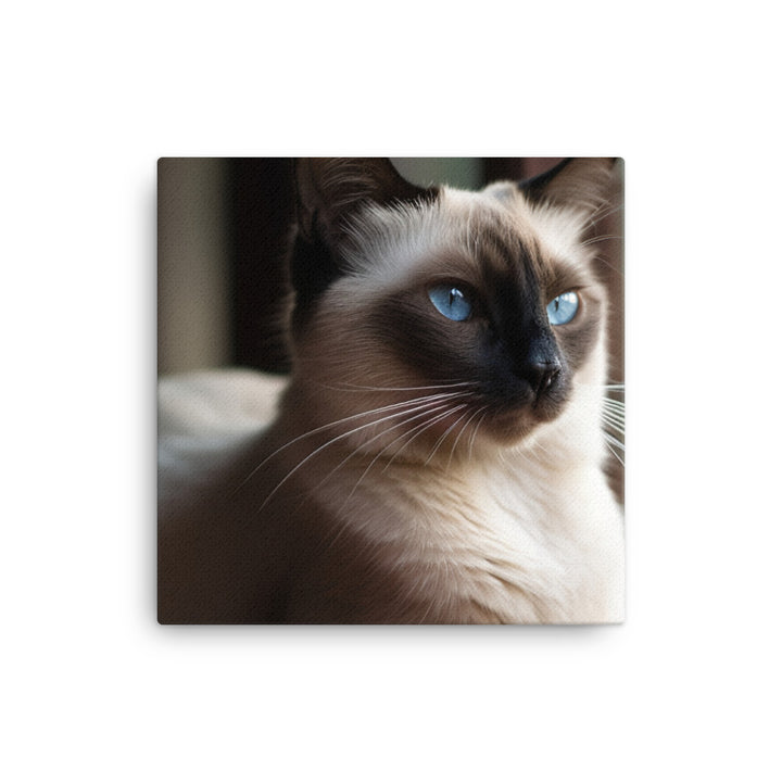 Graceful Balinese Cat Posing on the Window Sill canvas - Posterfy.AI