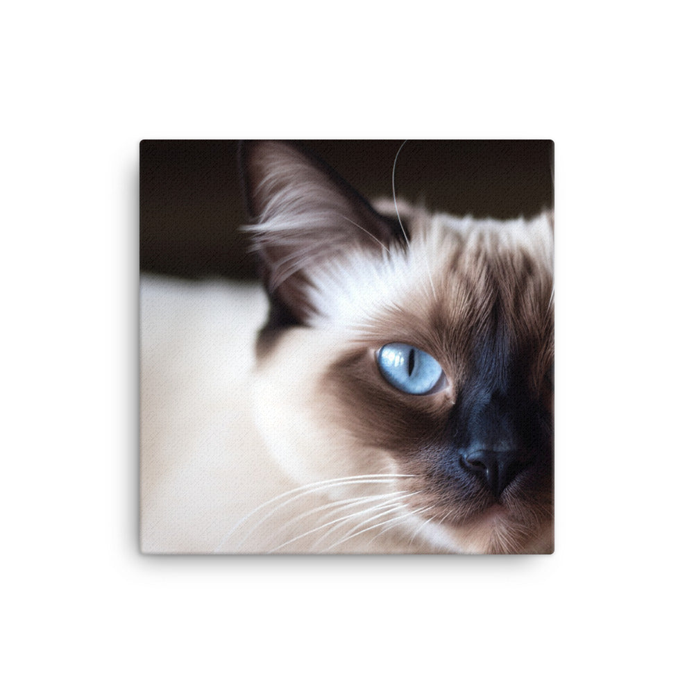 Gorgeous Balinese Cat Relaxing on the Couch canvas - Posterfy.AI