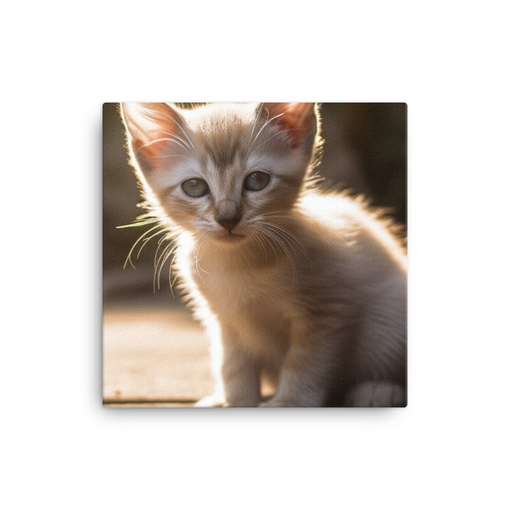 Curious Balinese Kitten in Sunlight canvas - Posterfy.AI