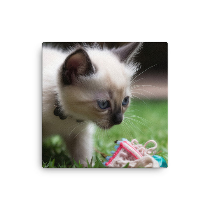 Adorable Balinese Kitten Playing with Toy canvas - Posterfy.AI