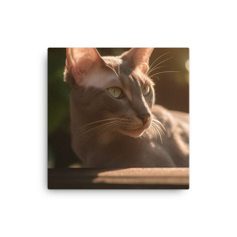 Curious Oriental Shorthair in Sunlight canvas - Posterfy.AI