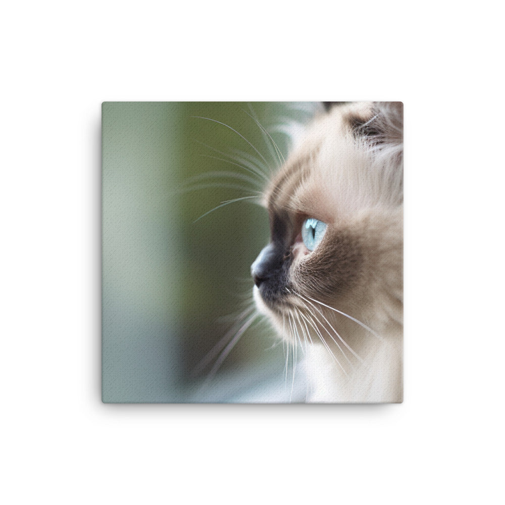 Himalayan kitten gazing out the window canvas - Posterfy.AI