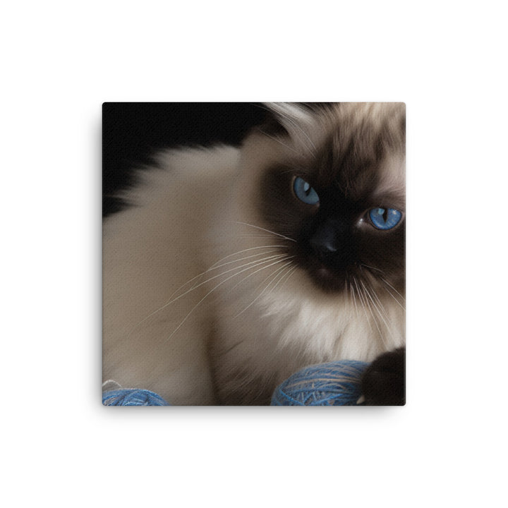 Himalayan cat playing with a ball of yarn canvas - Posterfy.AI