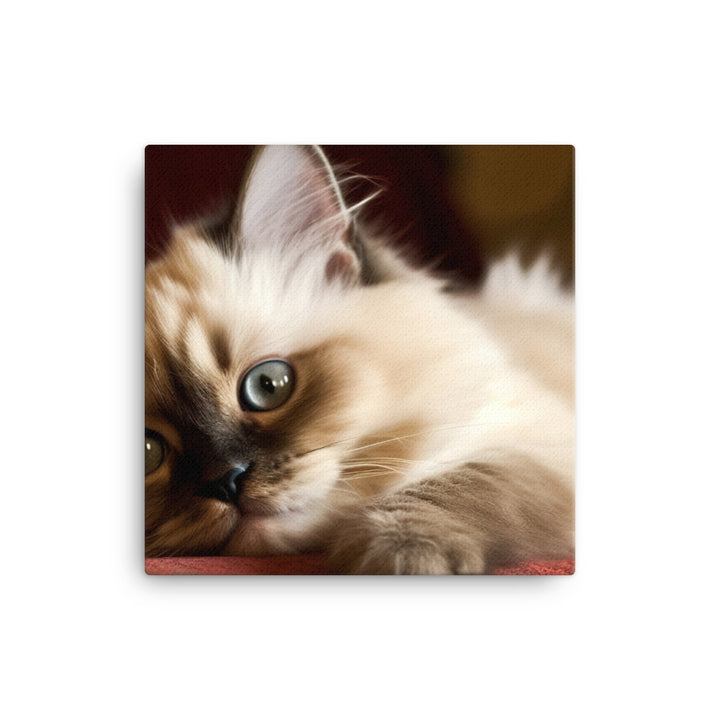 Adorable Himalayan Kitten resting on sofa canvas - Posterfy.AI