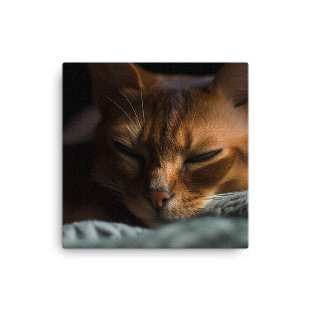 Sleepy Abyssinian in a cozy blanket canvas - Posterfy.AI