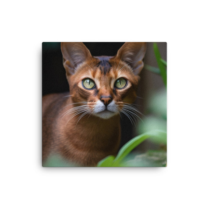 Curious Abyssinian exploring the garden canvas - Posterfy.AI