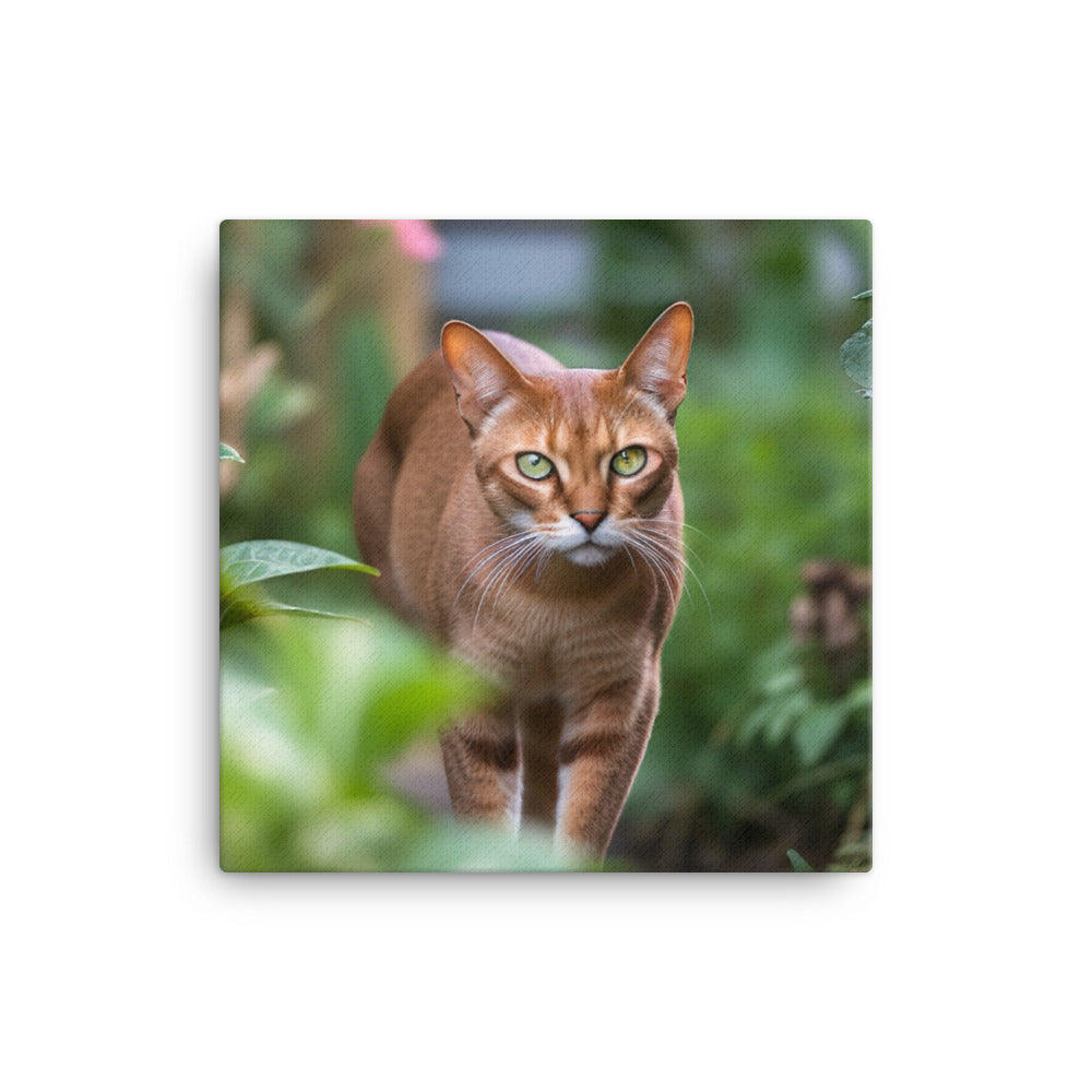 Curious Abyssinian exploring the garden canvas - Posterfy.AI