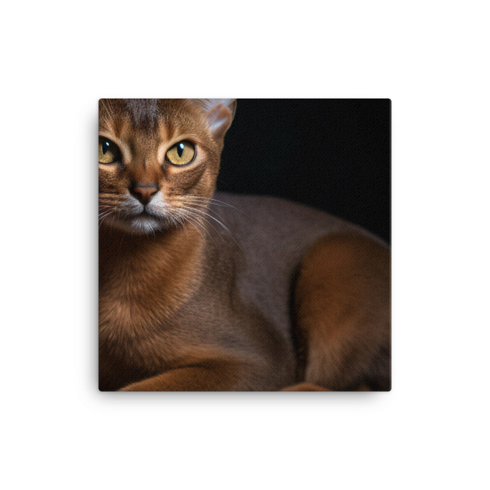 Adorable Abyssinian posing for the camera canvas - Posterfy.AI