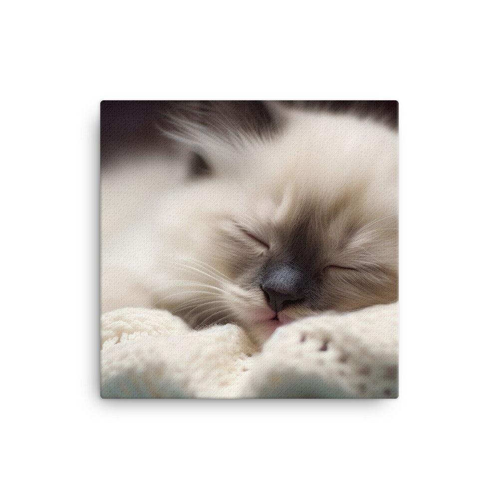 Ragdoll Kitten Napping in Cozy Blanket canvas - Posterfy.AI