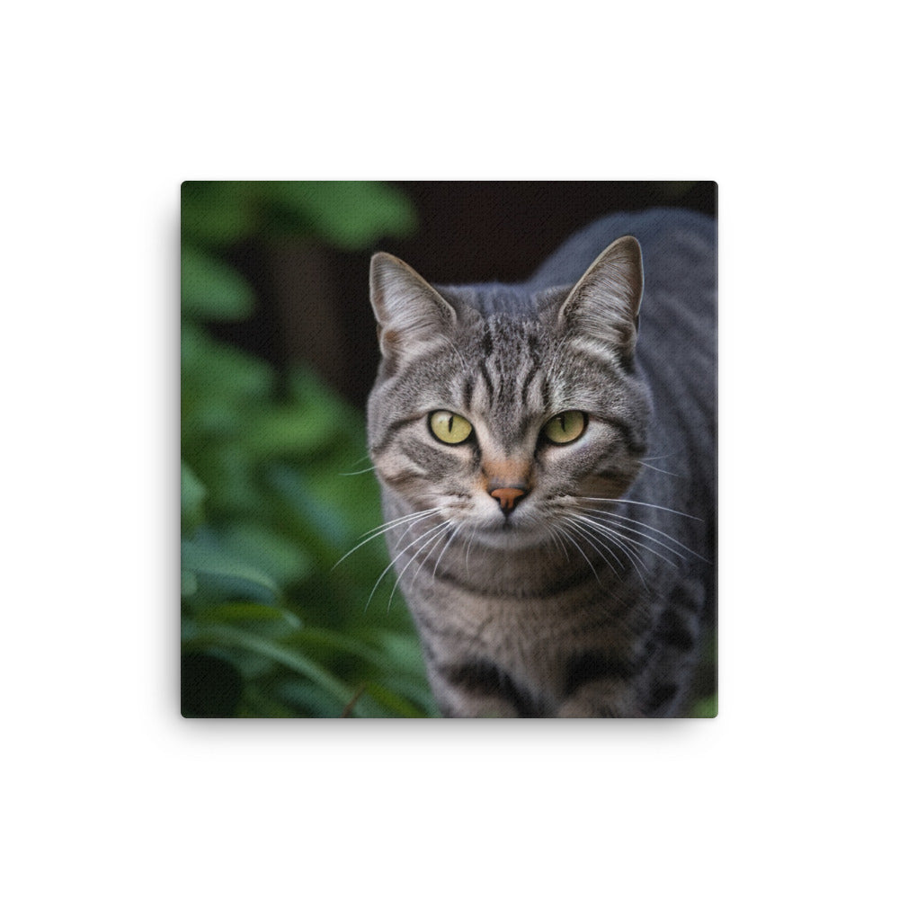 Curious American Shorthair exploring the garden canvas - Posterfy.AI