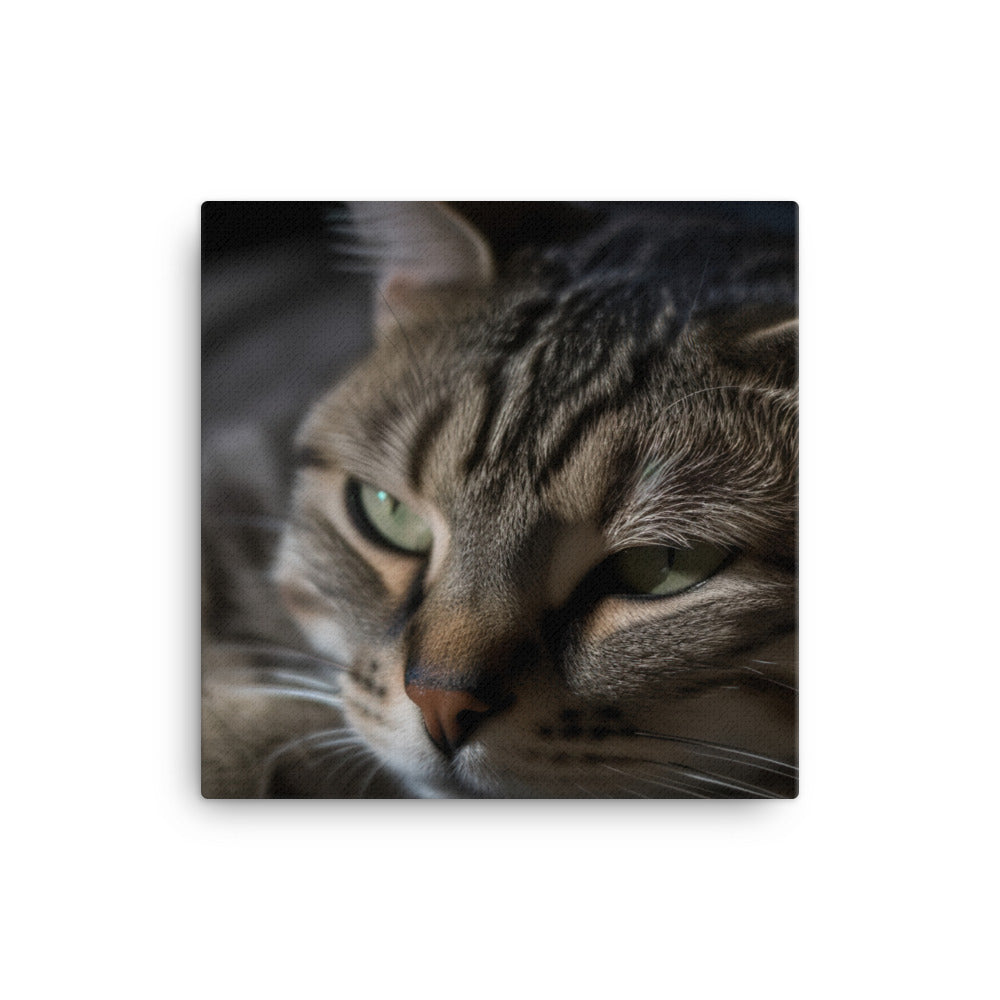 Cuddly American Shorthair enjoying lap time canvas - Posterfy.AI