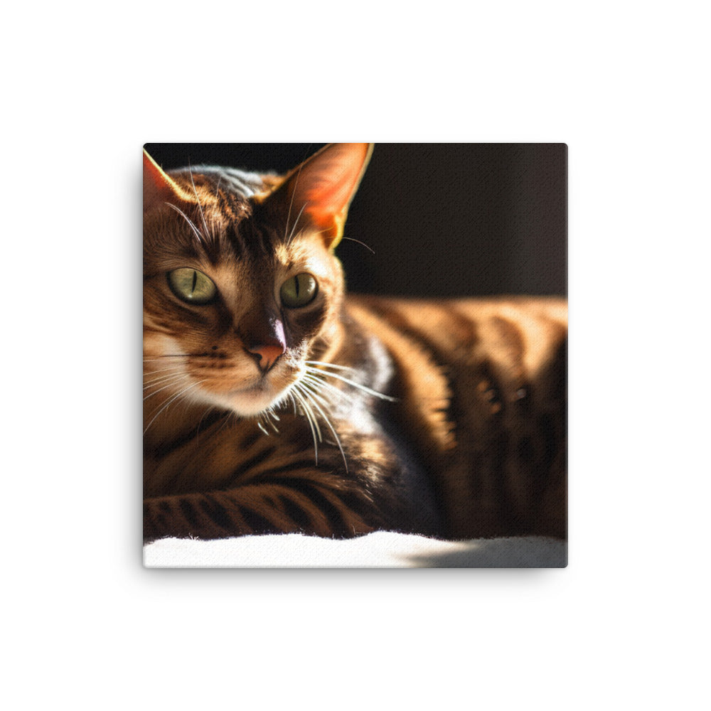 Majestic Bengal Cat Lounging in Sunbeam canvas - Posterfy.AI