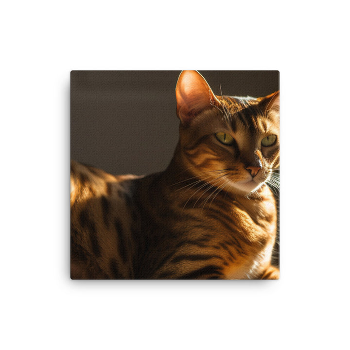 Majestic Bengal Cat Lounging in Sunbeam canvas - Posterfy.AI