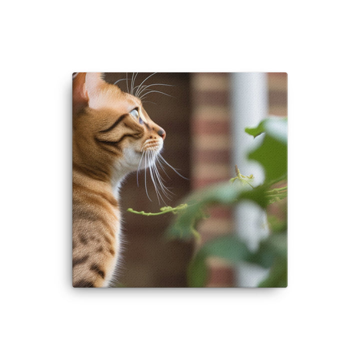 Curious Bengal Cat Watching Bird Outside canvas - Posterfy.AI