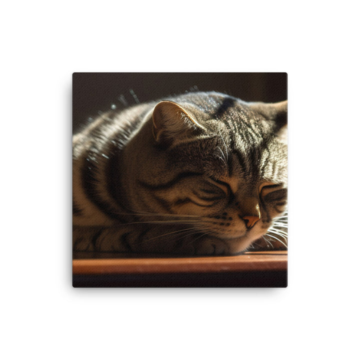 Scottish Fold cat basking in a sunbeam canvas - Posterfy.AI