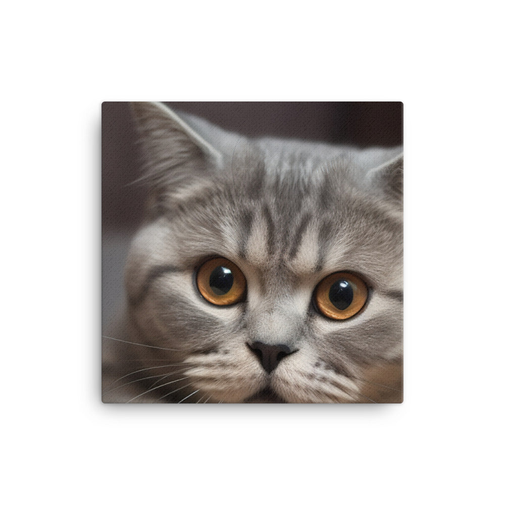 Portrait of a Scottish Fold cat canvas - Posterfy.AI