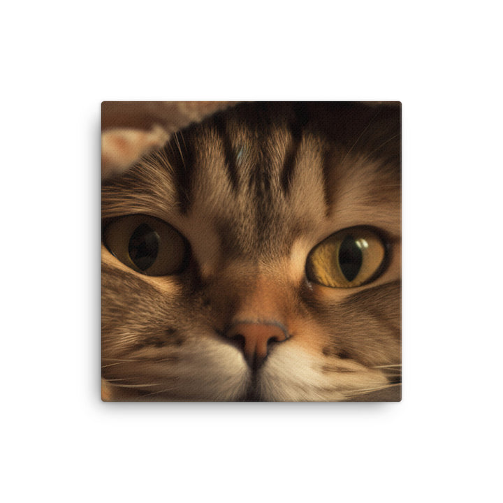 Portrait of a Scottish Fold cat canvas - Posterfy.AI