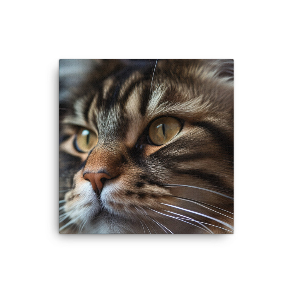 The majestic beauty of a Maine Coon canvas - Posterfy.AI