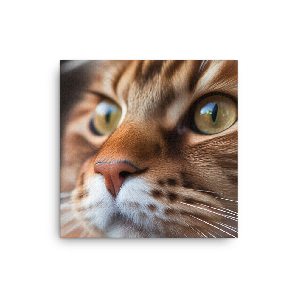Maine Coon with a Close-Up shot canvas - Posterfy.AI