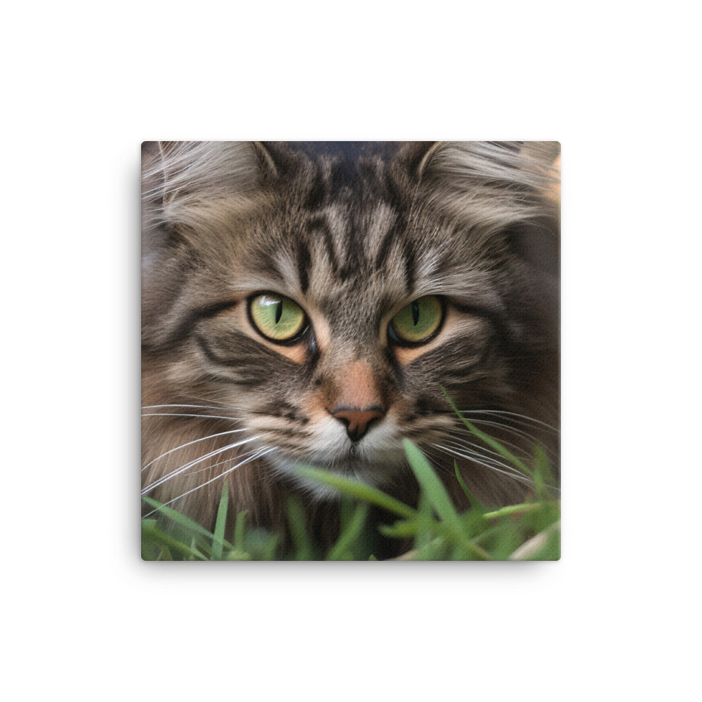 Maine Coon with a candid shot canvas - Posterfy.AI