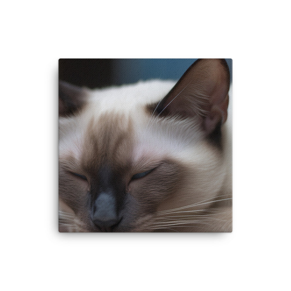 Sleepy Siamese Taking a Nap canvas - Posterfy.AI