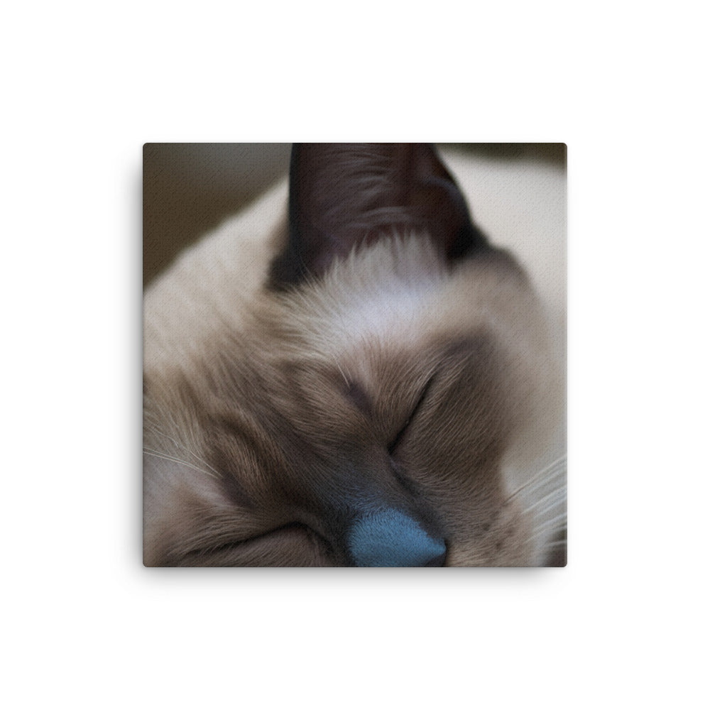 Sleepy Siamese Taking a Nap canvas - Posterfy.AI
