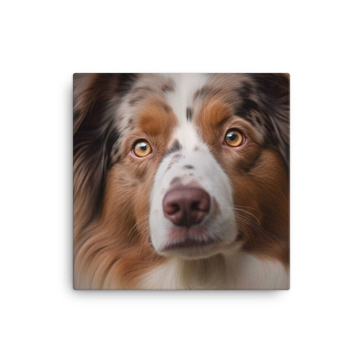 Graceful and loyal: Australian Shepherd canvas - Posterfy.AI