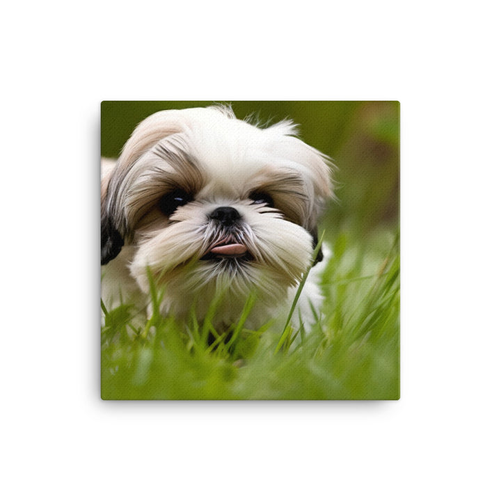 Playful Shih Tzu Enjoying the Outdoors canvas - Posterfy.AI